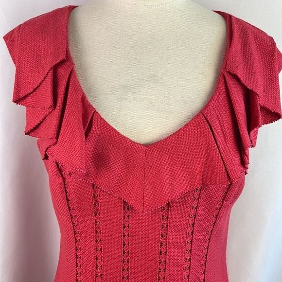 Kay Unger NWT Pink Dress with Ruffle Neck
