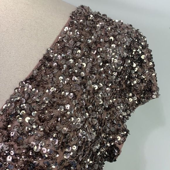 Parker NWT Silver Sequined Dress