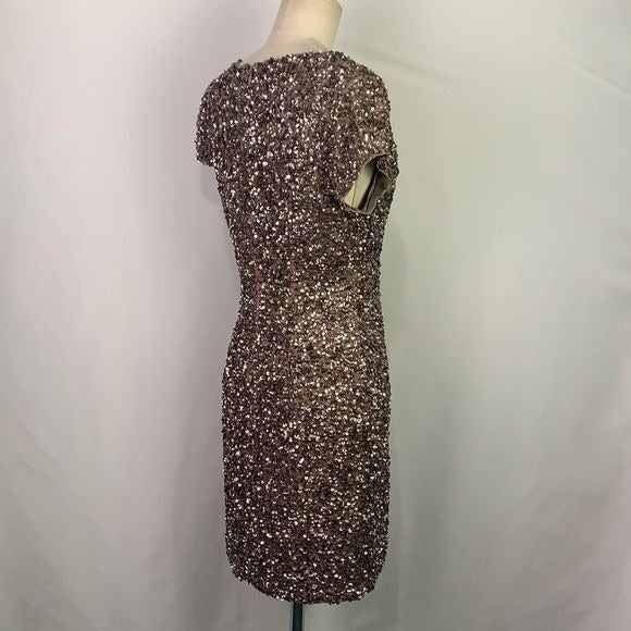 Parker NWT Silver Sequined Dress