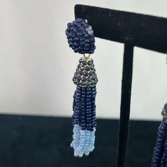 Blue Beaded Tassel Earrings